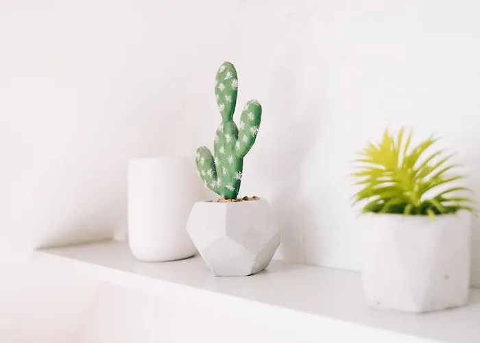 Hyper Center ,private Parking *