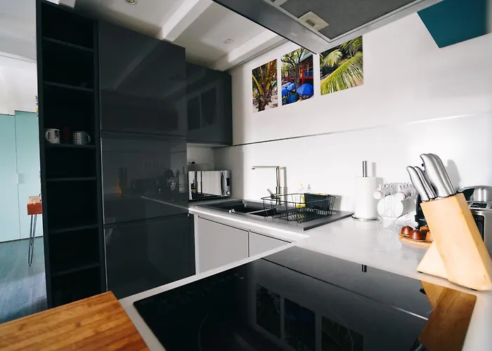 Apartment Hyper Centre , Climatise Colmar