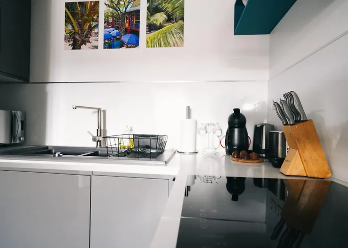 Apartment Hyper Centre , Climatise Colmar